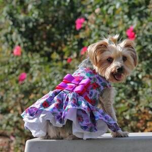 NEW DOGGIE DESIGN floral dress in purple/red